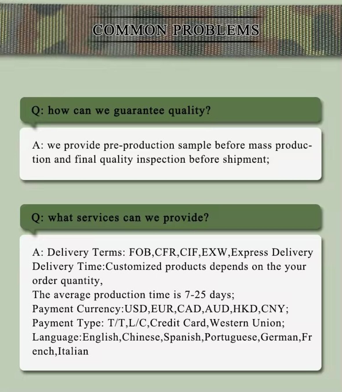 Russian Nylon 66 Ruins Camouflage Webbing